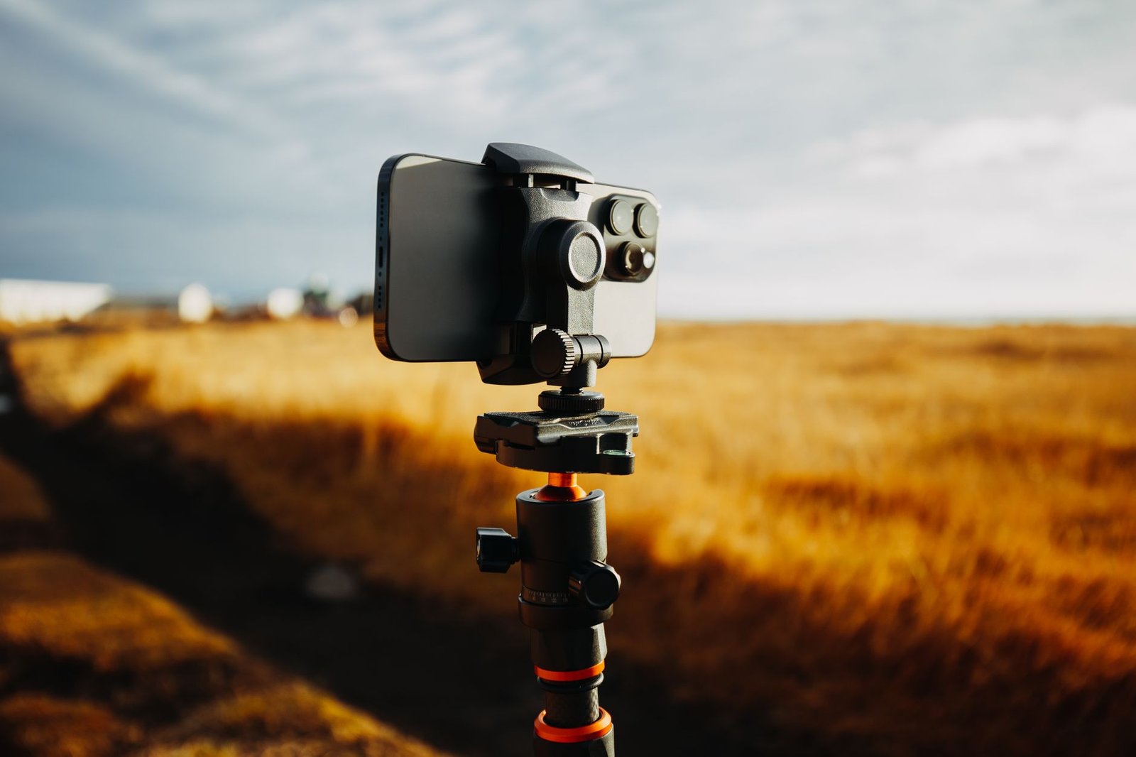 A smartphone is mounted on a tripod capturing the vast golden field under a bright sky.