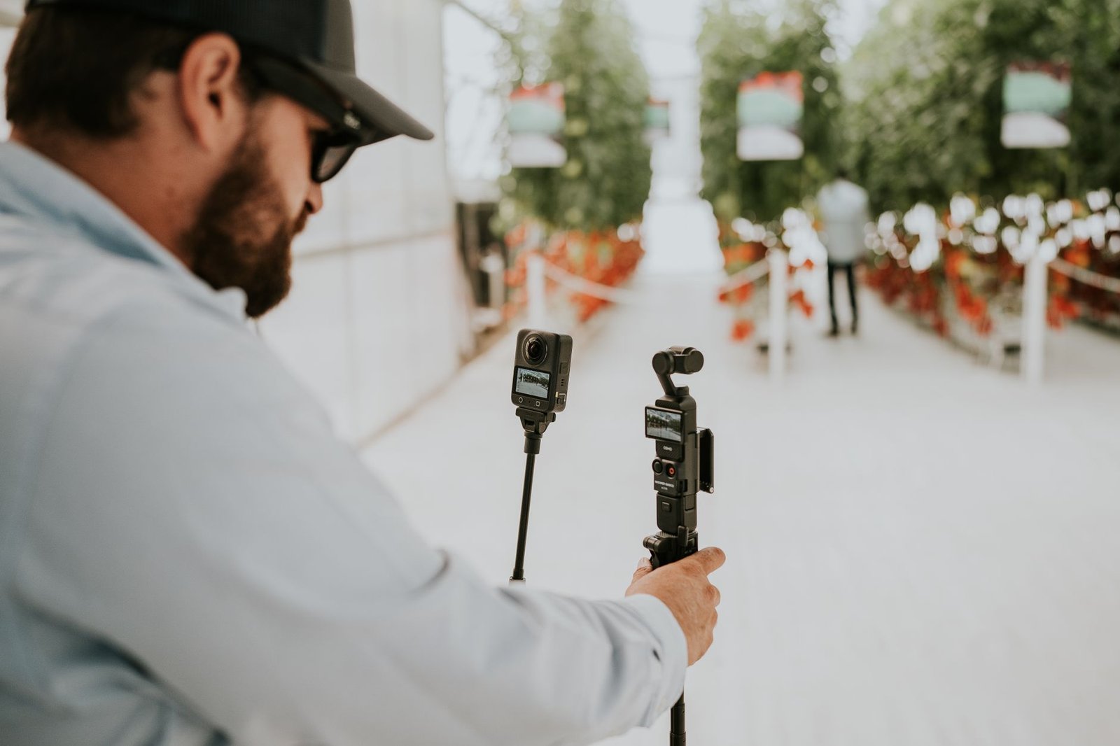 A technician uses cameras to record in a vibrant greenhouse filled with tomato plants.